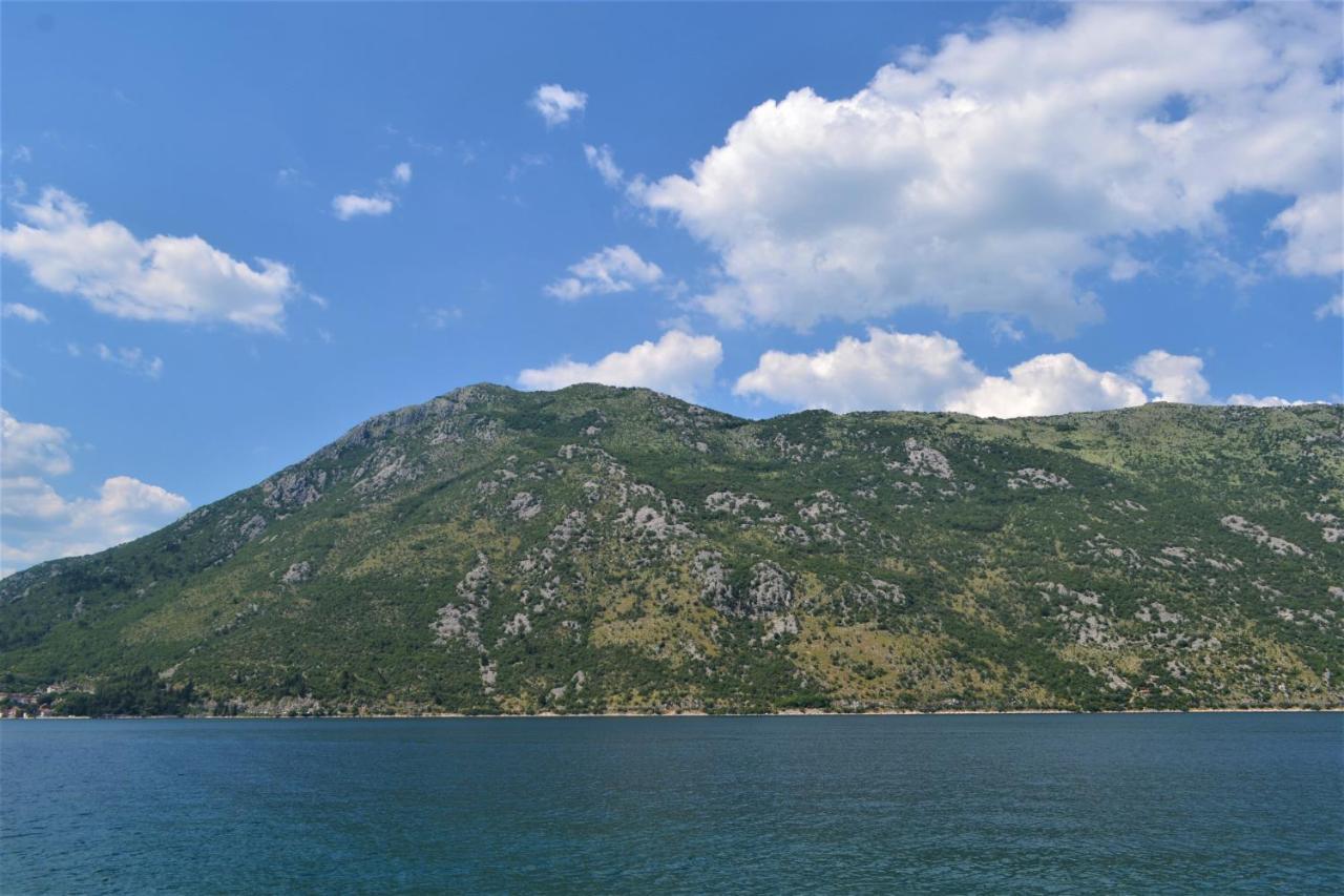 Djurovic Kotor